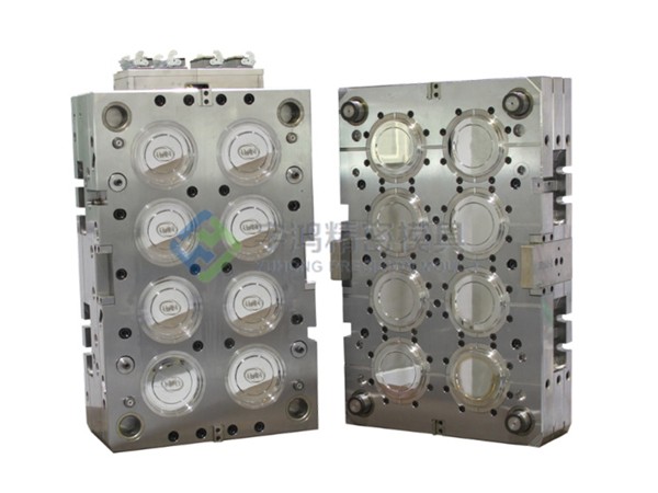 8 Cavities mould 